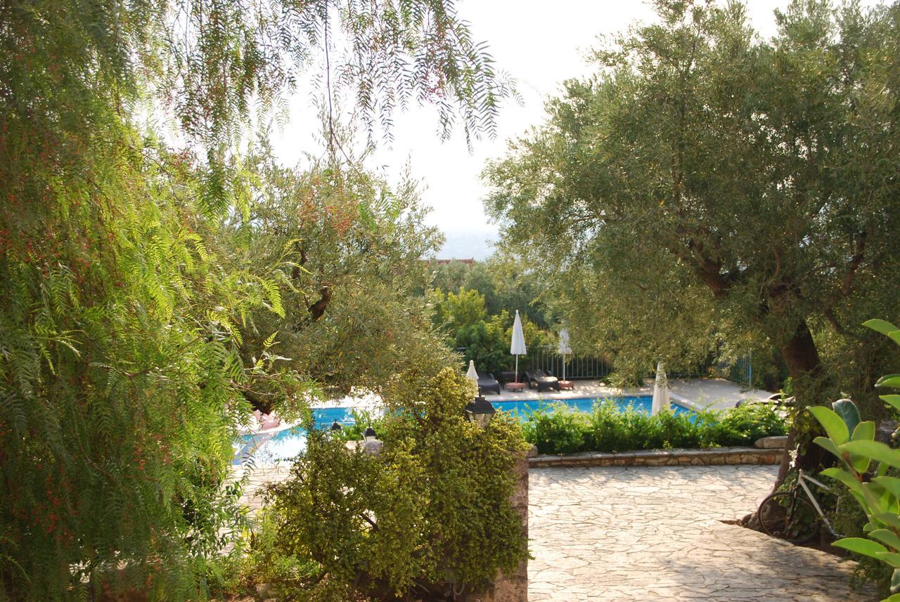 Отель Anatoli Labreon Agia Marina  Экстерьер фото