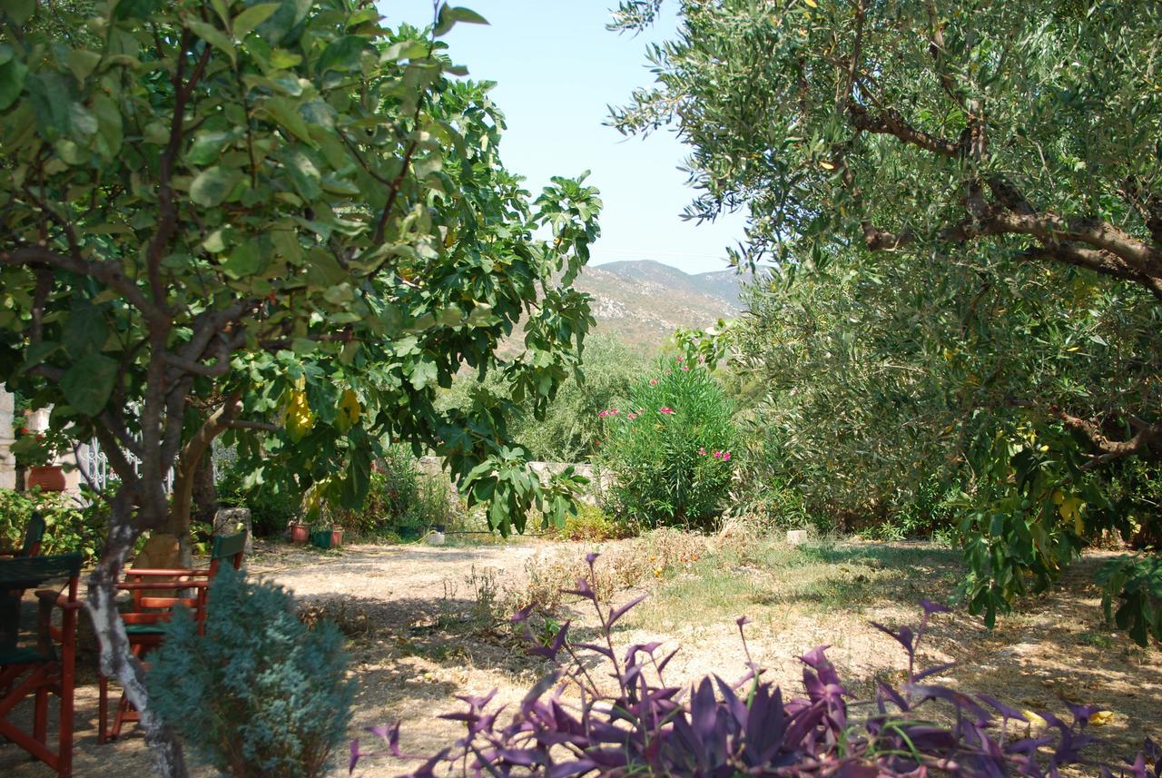 Отель Anatoli Labreon Agia Marina  Экстерьер фото